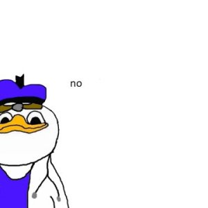 Doctro Dolan is reel Ductor