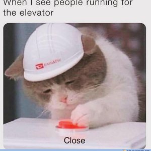 invest