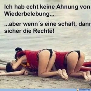 Sie geben alles