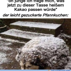Lecker schmecker