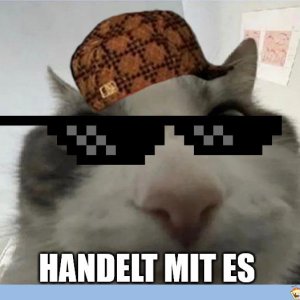 bestes Meme