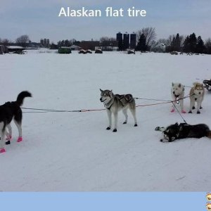 Alaskan flat tire