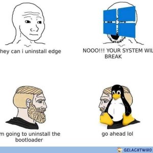 Windows vs Linux
