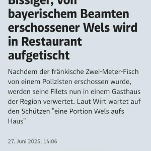 Der Gipfel der Verachtung