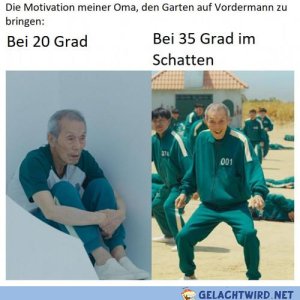 Macht die immer