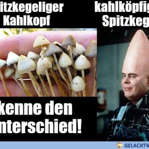 Bloß nicht verwechseln