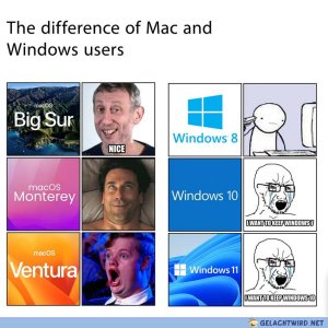 Mac OS vs. Windows
