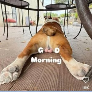 Good Morning