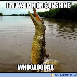 Walking on shunshine