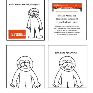 spiegel