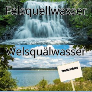 Den Wels quälen