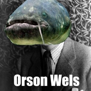 Nochn Wels.