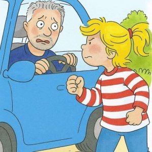 Wolle Auto kaufe