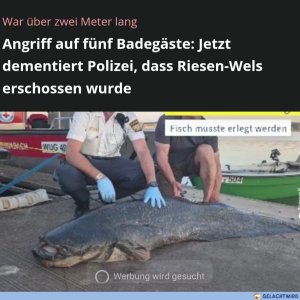 Was ist denn jetzt los?!