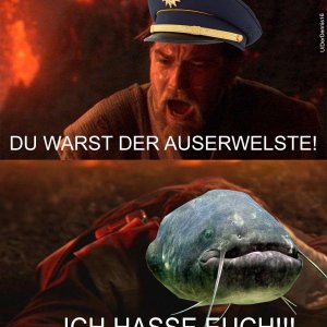 Wels Wars