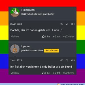 GWN ist STRAIGHT