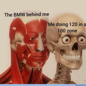 100 Sachen 80