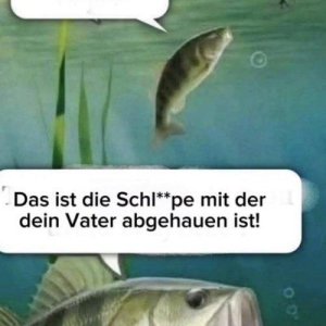 Ködere nicht des Köders Köder wenn der Köder mit dem Köder ködert