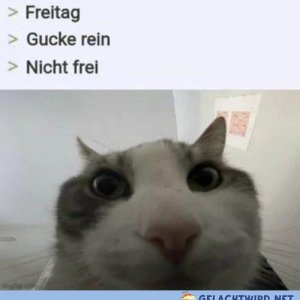 Saftladen