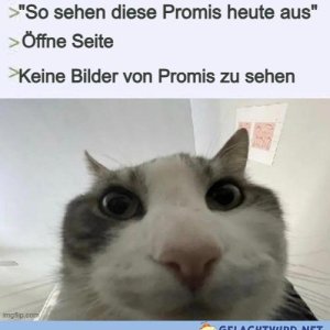 Aber dafür ein 25 Sekunden Werbevideo