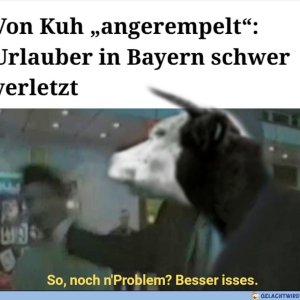 Die q