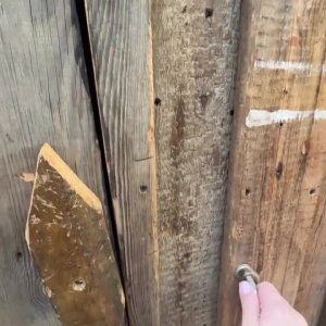 Toiletten-Tournee, Part 288