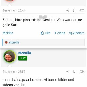 ein paar hundert