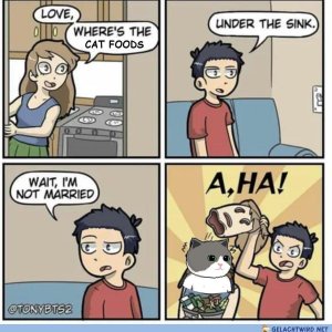 Lel die Cutze