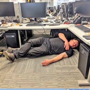 Kenny nach einem harten Tag im RdW-Büro
