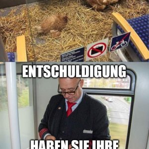 Verwirrte Huhngeräusche