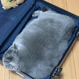 Besser als ein Koffer blauer Scheine