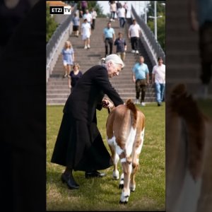 froindliches kalb hilft omer