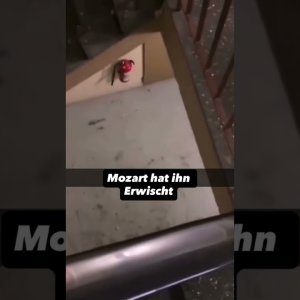 Moe Zart und der Wicht