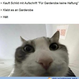 Konnte ja keiner ahnen