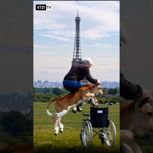 etzerdla sendet schon wieder scheiße ein